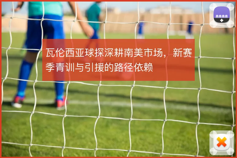 瓦伦西亚球探深耕南美市场，新赛季青训与引援的路径依赖