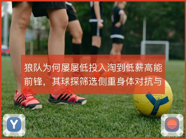 狼队为何屡屡低投入淘到低薪高能前锋，其球探筛选侧重身体对抗与冲刺曲线