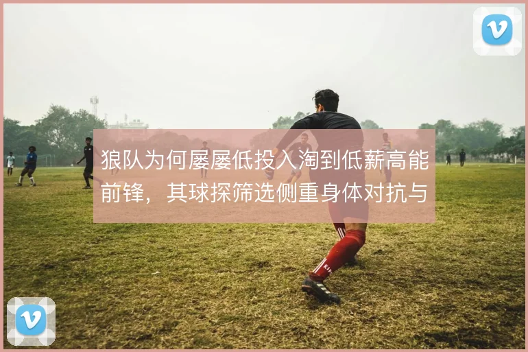 狼队为何屡屡低投入淘到低薪高能前锋，其球探筛选侧重身体对抗与冲刺曲线